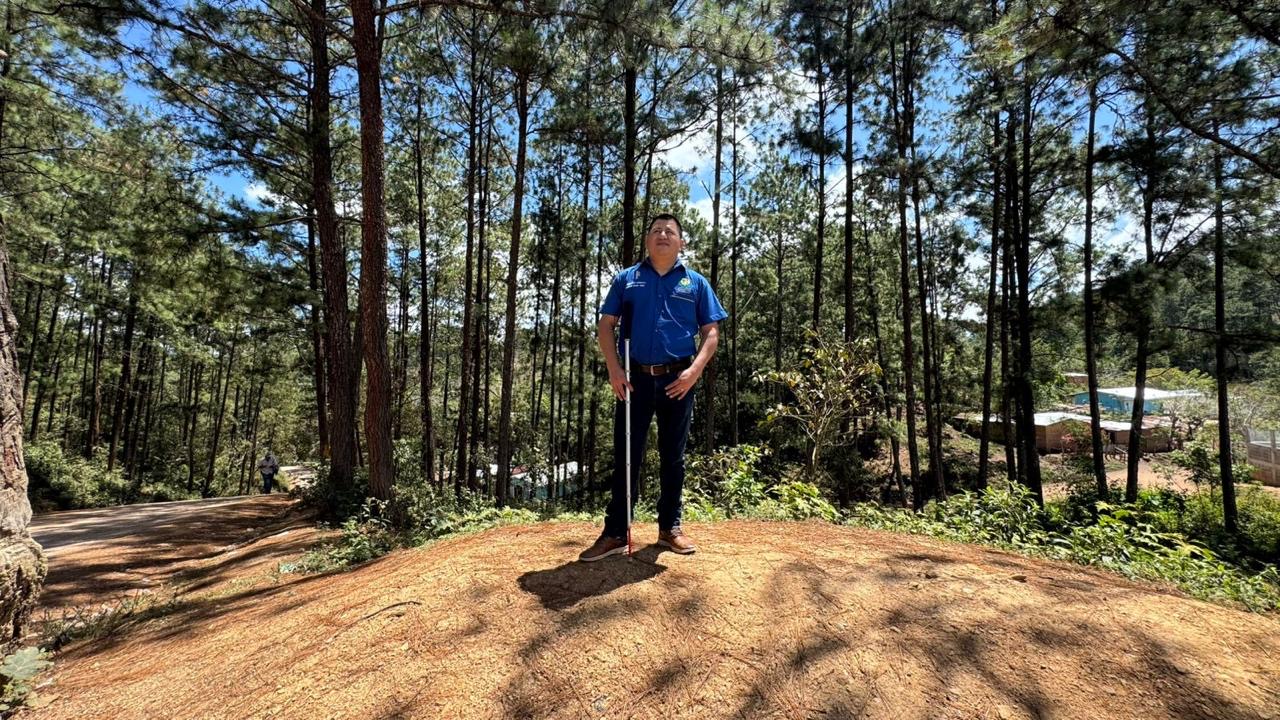 Juan José está de pie sobre una pequeña colina en medio de un bosque de pinos altos. Lleva una camisa azul y pantalón oscuro, y sostiene un bastón frente a él. La luz del sol ilumina el lugar, proyectando sombras de los árboles sobre el suelo.